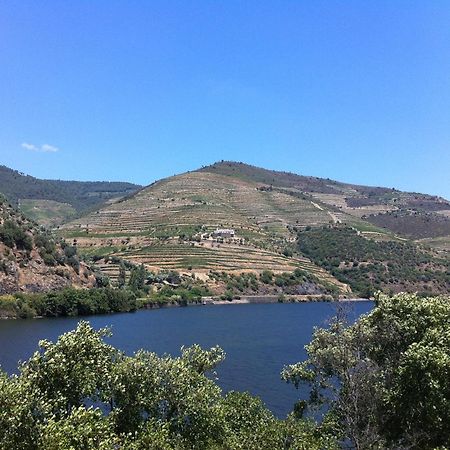 Quinta Da Marka Covas do Douro Bagian luar foto