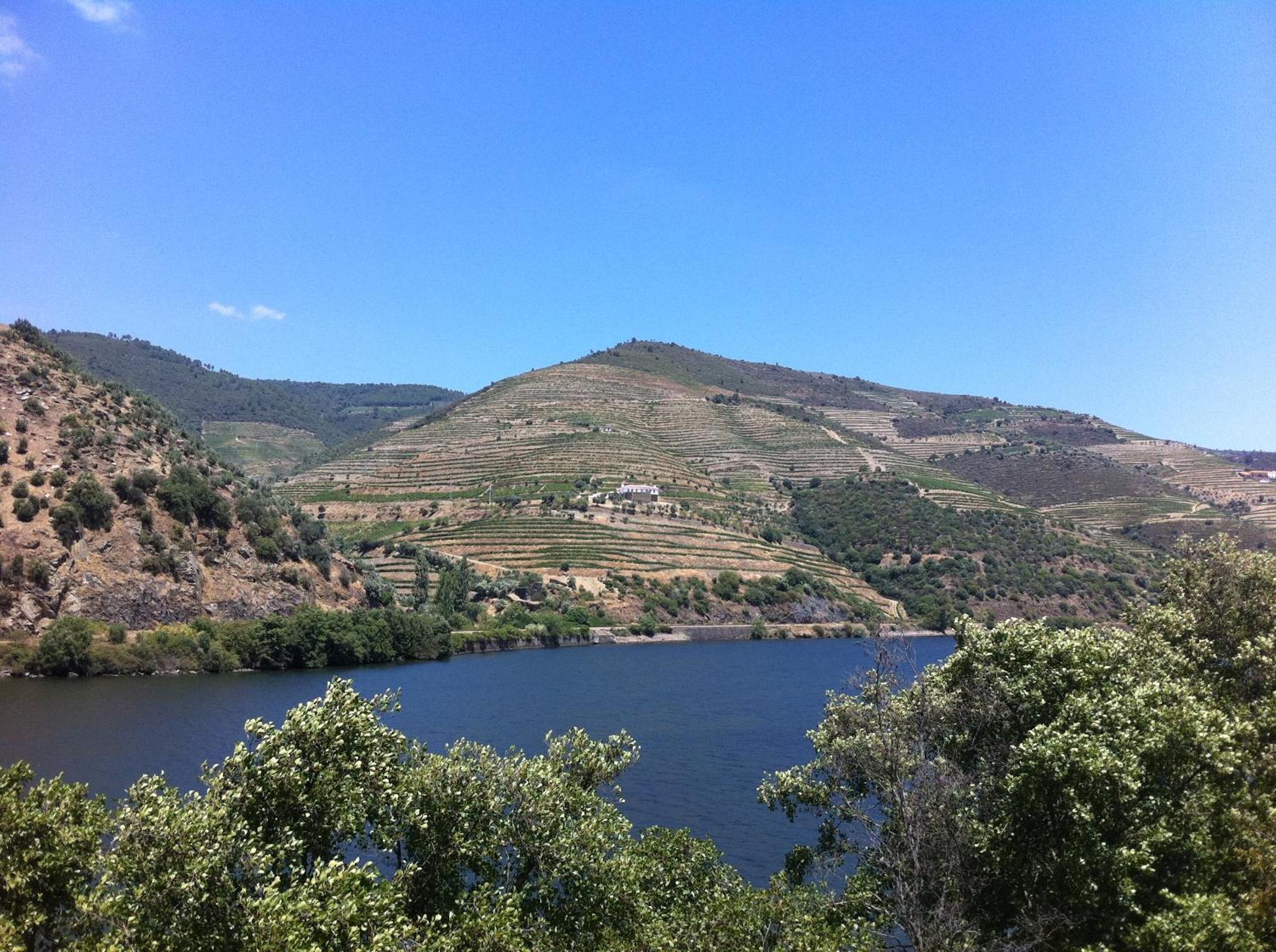 Quinta Da Marka Covas do Douro Bagian luar foto